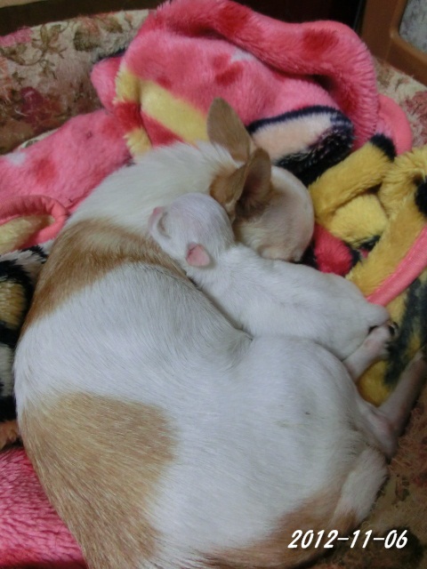 c0200916_23372835.jpg