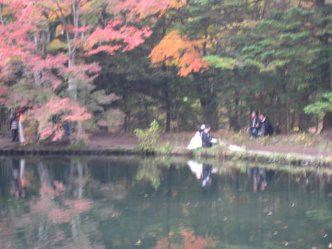 雲場池（軽井沢）の紅葉_e0164519_1291954.jpg