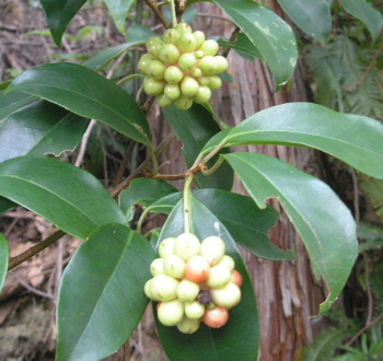 a0048823_19543285.jpg