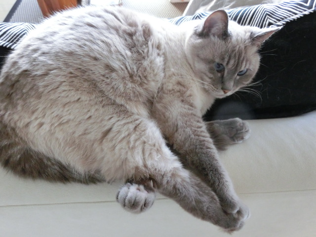 クラフト_c0006826_822220.jpg