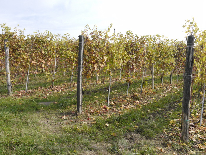 e0127526_23184419.jpg