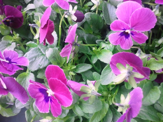 いーよー♪_c0102228_9451543.jpg