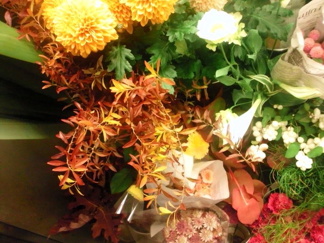 いーよー♪_c0102228_9451551.jpg