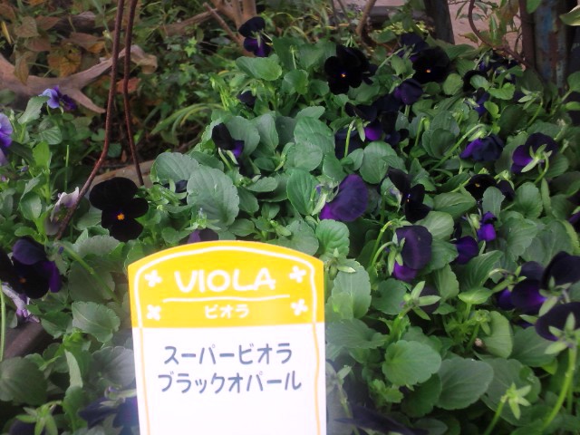 いーよー♪_c0102228_9451554.jpg