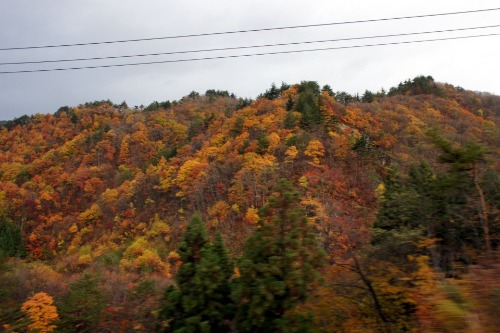 紅葉(山形)_d0004728_5261815.jpg