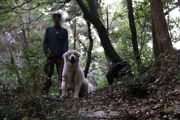 マリンのカイカイと膀胱炎とアイナの足、そしてお散歩（養命の滝）～♪♪♪_a0151129_822186.jpg