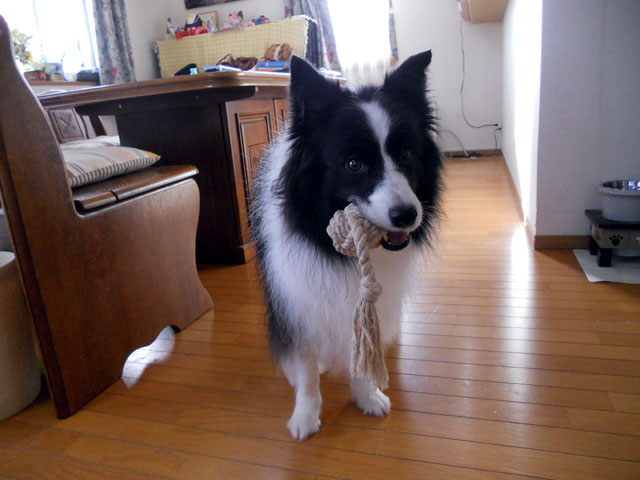 d0059230_8321010.jpg