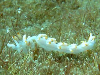 2012年11月9日(金・曇りのち晴れ)甲浦_d0164831_16415573.jpg