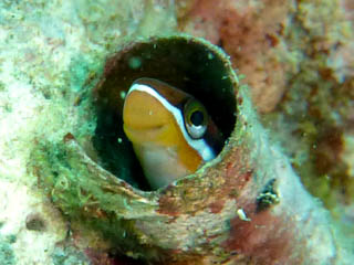 2012年11月9日(金・曇りのち晴れ)甲浦_d0164831_1643680.jpg