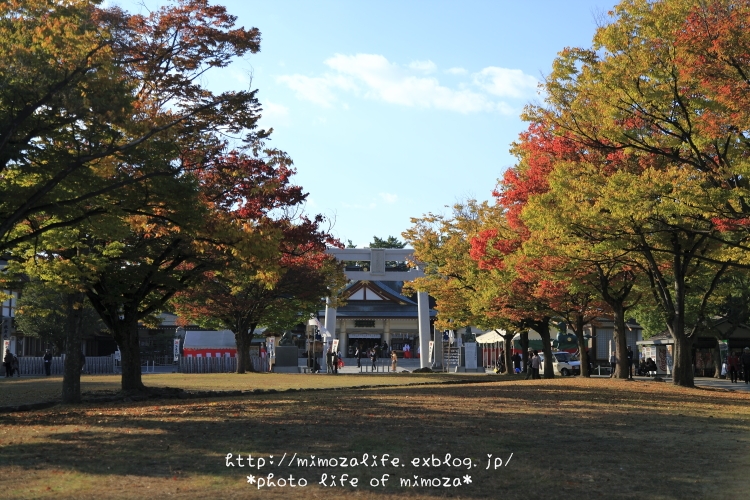 広島城と護国神社_a0142435_20524931.jpg