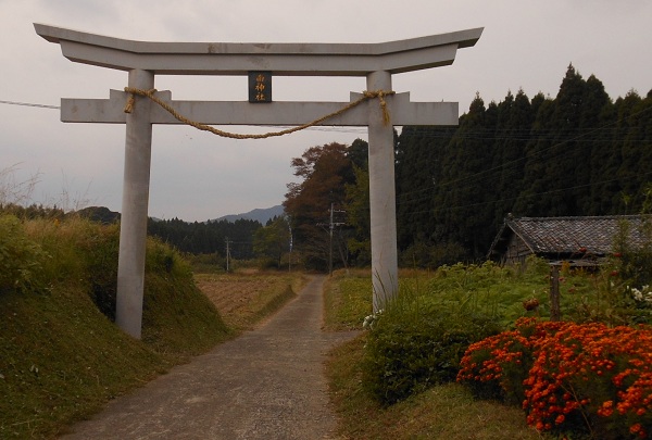 　♪　秋祭り　祭り　祭り　　南神社　きれいになりました。_f0042737_14334320.jpg