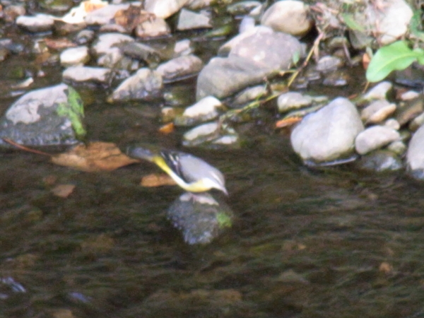a0175545_9185131.jpg