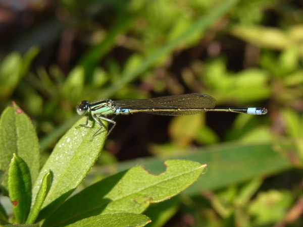 a0175545_9344059.jpg