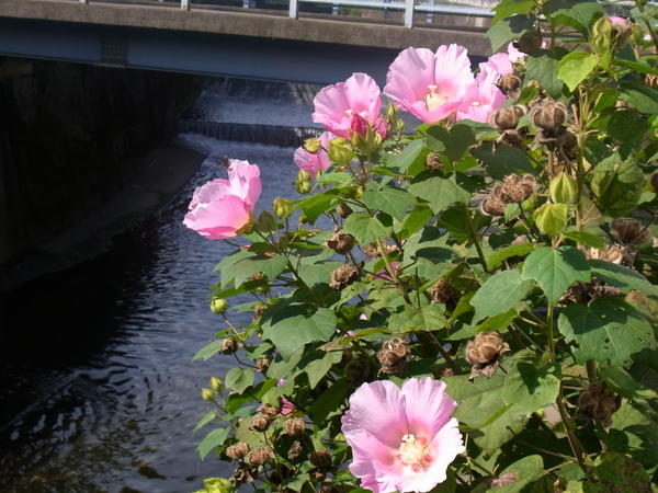 a0175545_96345.jpg