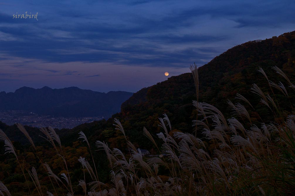 d0238245_0235320.jpg