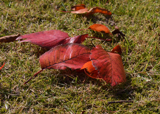 c0093046_17234582.jpg