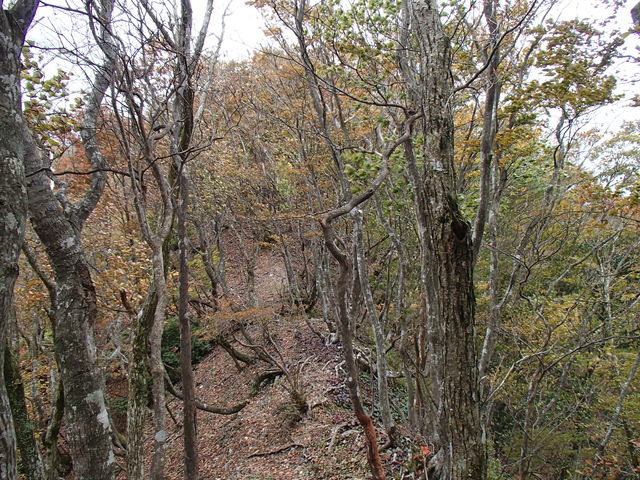 e0189446_20221431.jpg