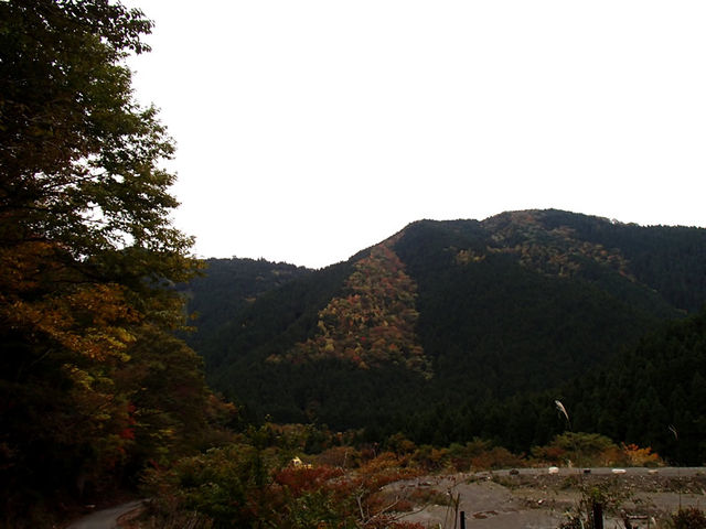 e0189446_2025518.jpg