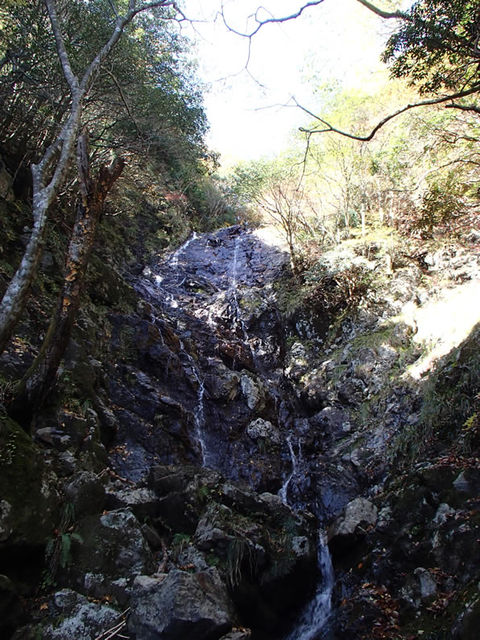 e0189446_20343344.jpg