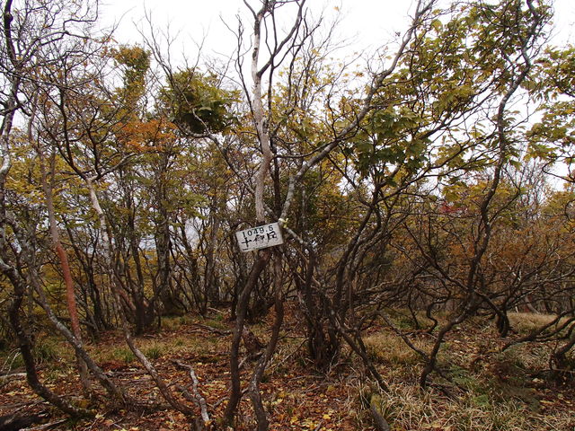 e0189446_20541899.jpg