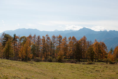 c0206051_9443858.jpg