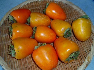e0004756_2042388.jpg