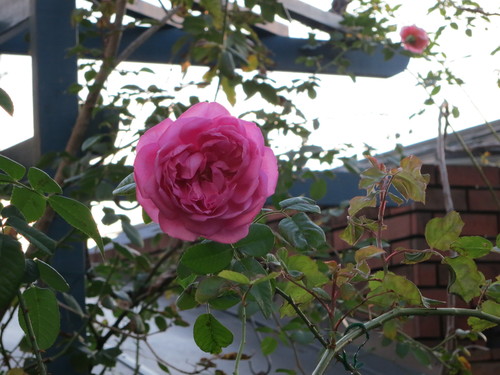 d0231057_2026149.jpg