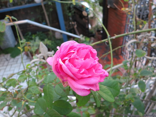 d0231057_2027384.jpg