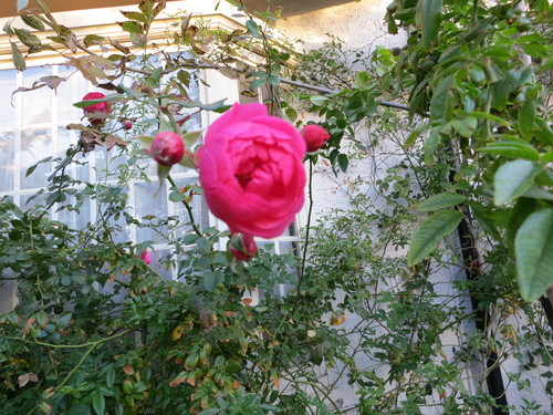 d0231057_20285040.jpg