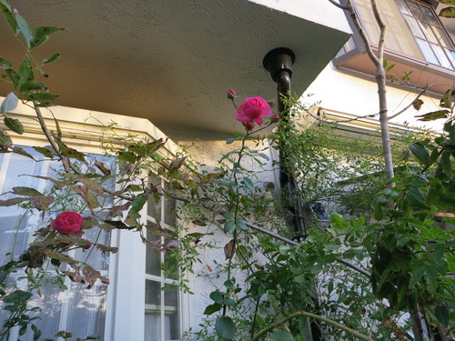 d0231057_20341491.jpg