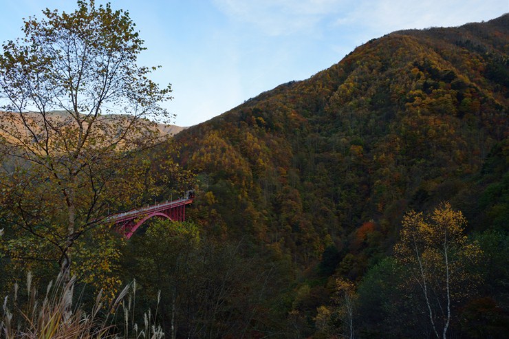 f0222161_10585944.jpg