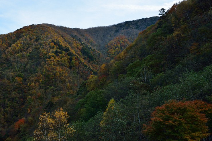f0222161_10591270.jpg