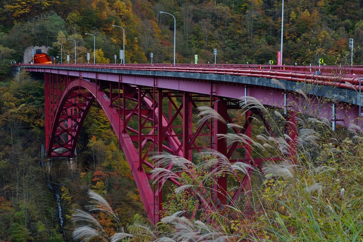 f0222161_10592770.jpg