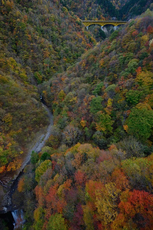 f0222161_10593676.jpg