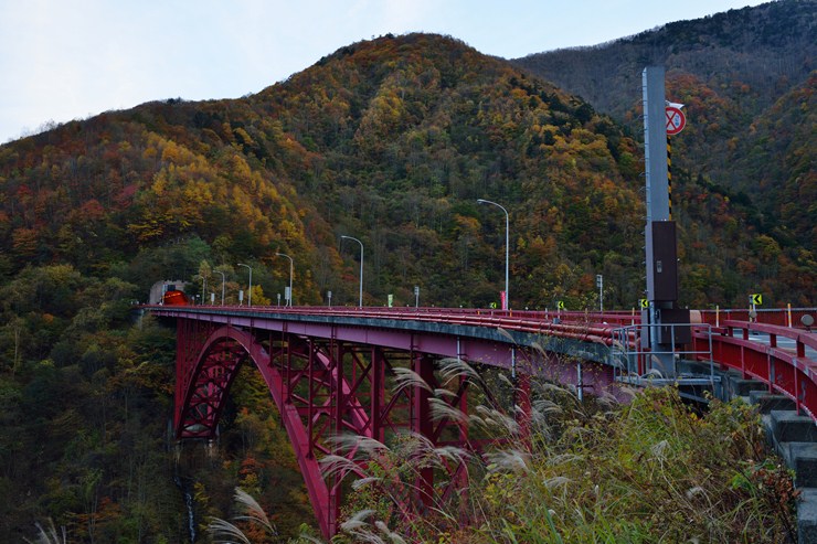f0222161_10594034.jpg