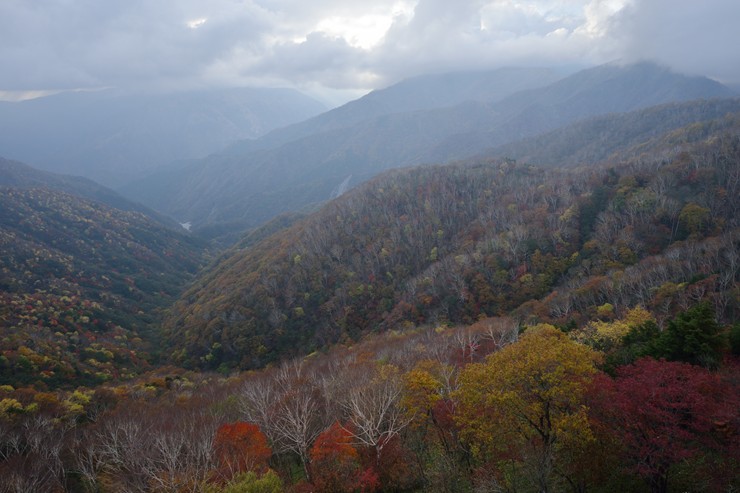 奥日光 半月峠 ~紅葉~_f0222161_15355874.jpg