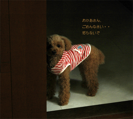 c0196673_8223083.gif