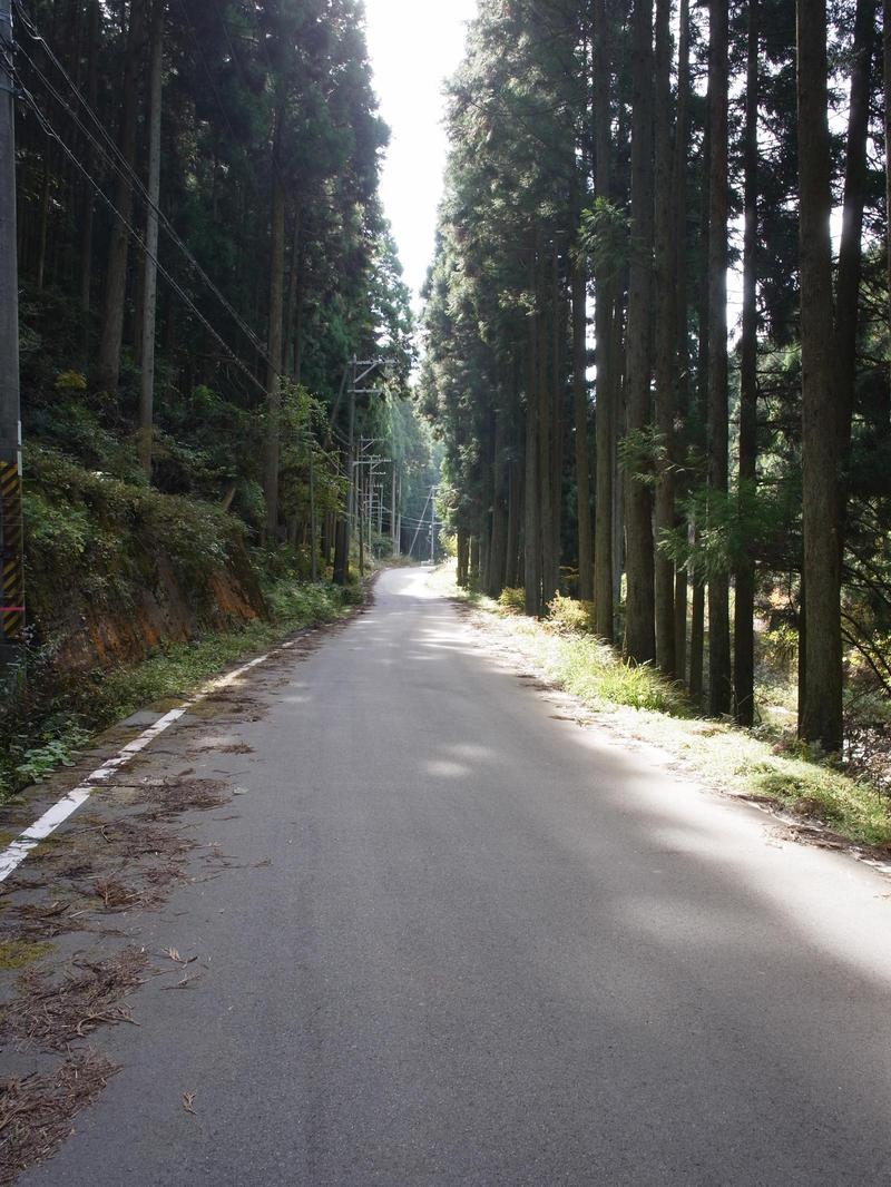 c0177576_11382116.jpg