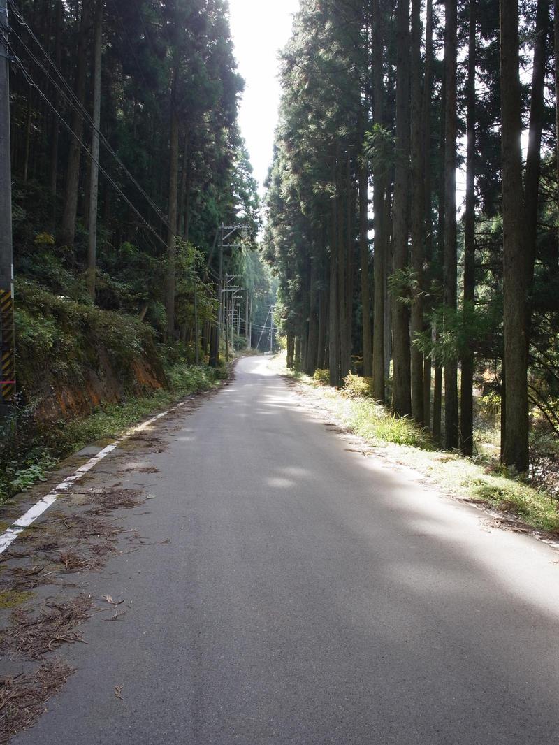 1年ぶりの再会♪～秋の伊勢本街道巡り～（中編）_c0177576_11382116.jpg