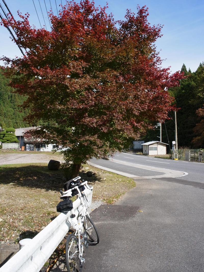 1年ぶりの再会♪～秋の伊勢本街道巡り～（中編）_c0177576_11575169.jpg