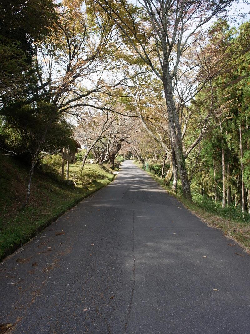 1年ぶりの再会♪～秋の伊勢本街道巡り～（中編）_c0177576_14114022.jpg