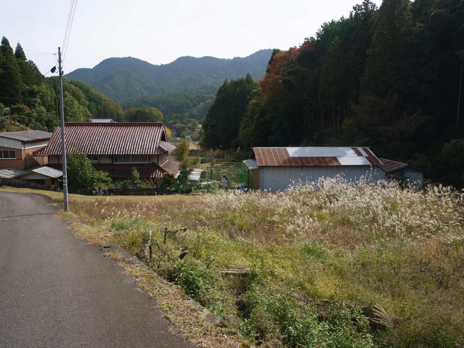 1年ぶりの再会♪～秋の伊勢本街道巡り～（中編）_c0177576_14154842.jpg