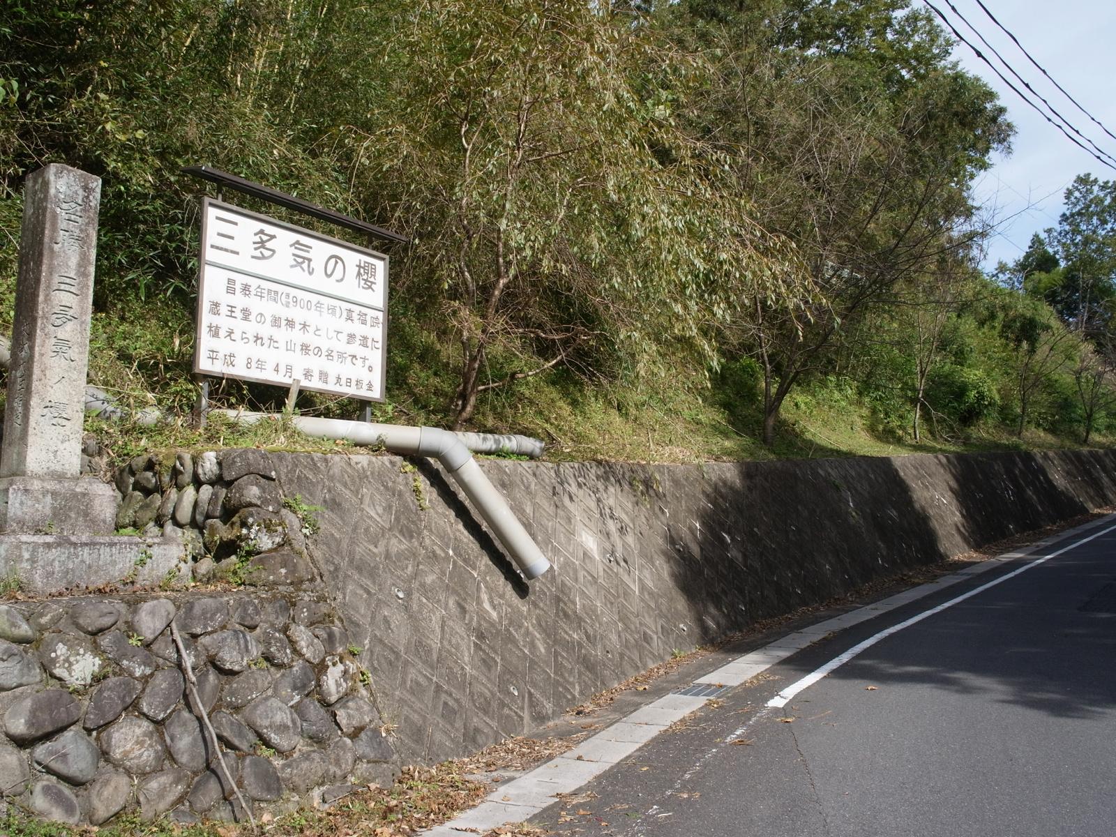 c0177576_1453777.jpg