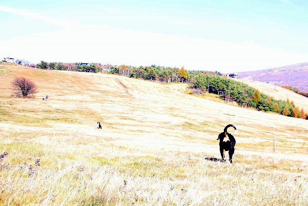 c0149178_1932451.jpg