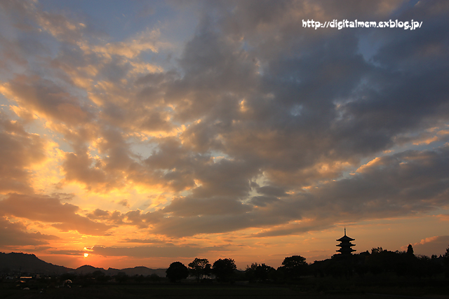 備中国分寺の夕景　11/9_c0083985_2302025.jpg