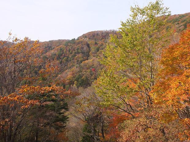 高野山の紅葉はじまる　③_c0046587_22523139.jpg