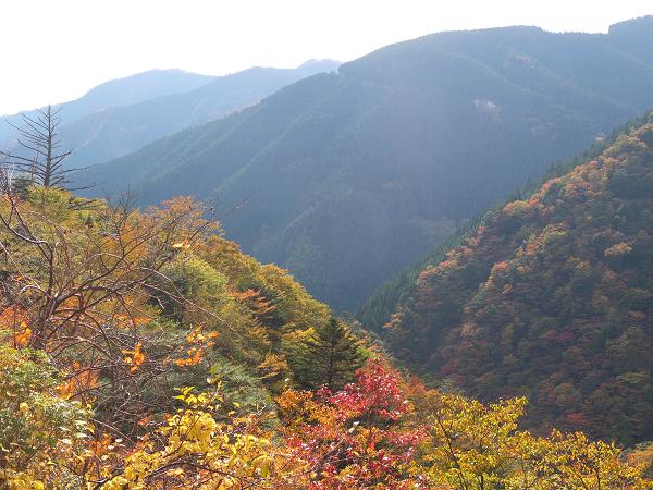 c0046587_22541376.jpg