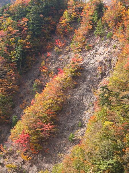 高野山の紅葉はじまる　③_c0046587_22541825.jpg