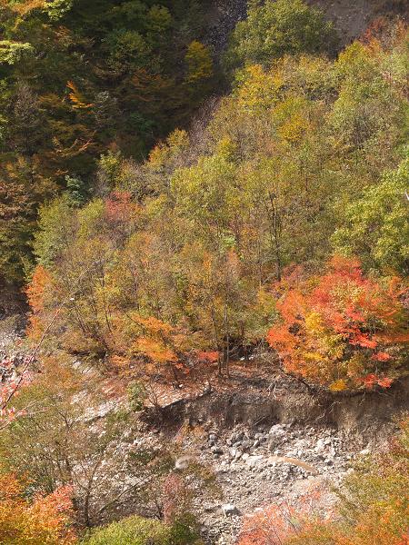 高野山の紅葉はじまる　③_c0046587_22542378.jpg