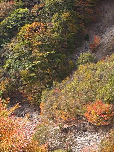 高野山の紅葉はじまる　③_c0046587_22543566.jpg